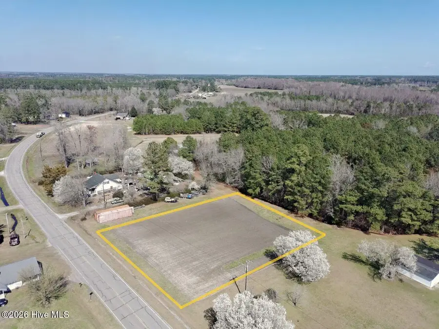 0 Near 2743 Haynes Lennon Highway, Chadbourn, NC 28431 - #2