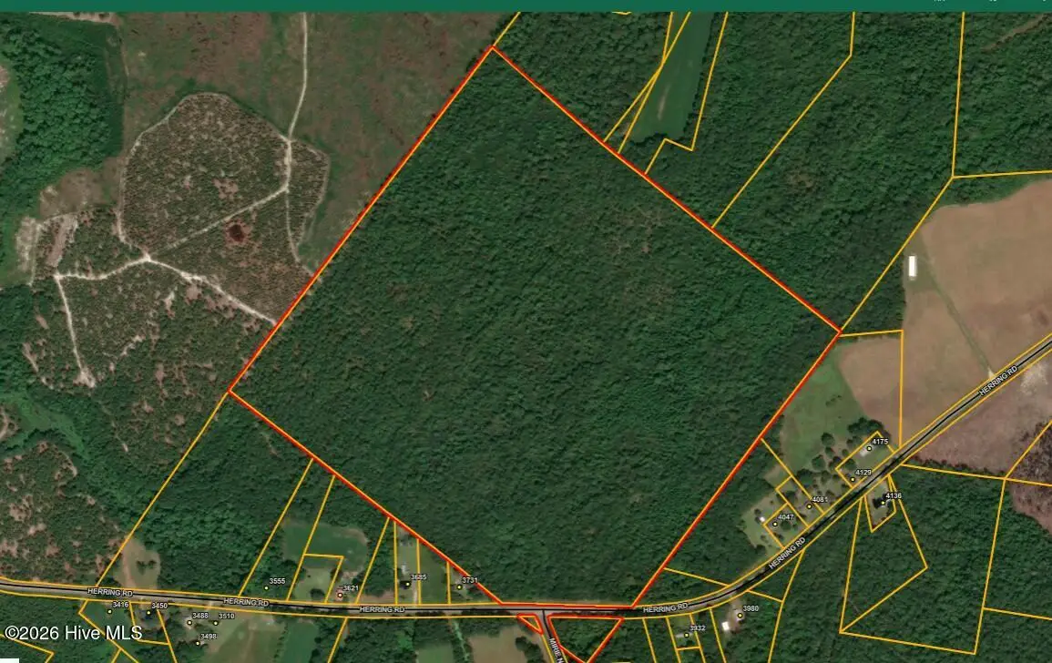 Lot 1 Herring Road, Rose Hill, NC 28458 - #1