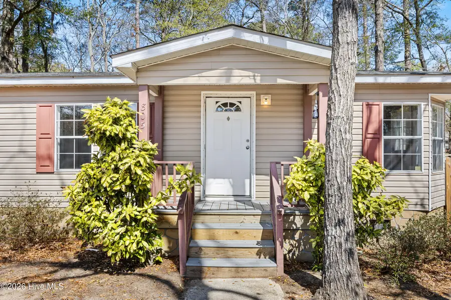 805 Red Lighthouse Lane, Wilmington, NC 28412 - #2