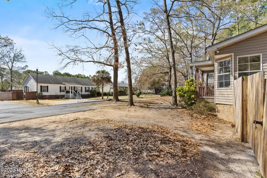 805 Red Lighthouse Lane, Wilmington, NC 28412 - #3