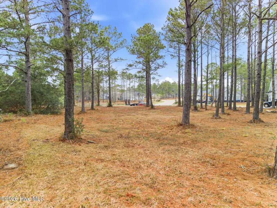 1074 Tinton Point Sw, Sunset Beach, NC 28468 - #3