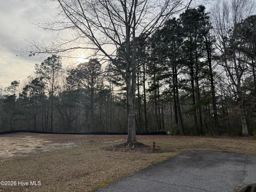 313 Megan Loop N, Hertford, NC 27944 - #2