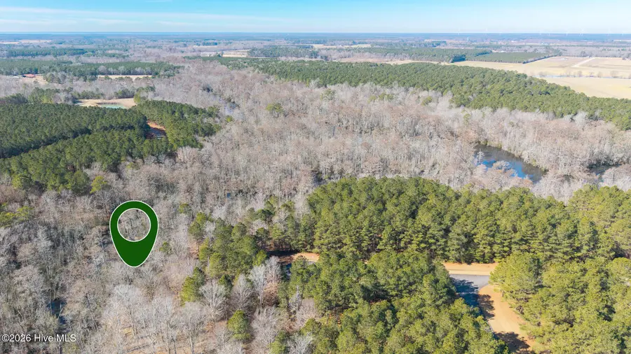 312 Plumtree Circle, Edenton, NC 27932 - #2