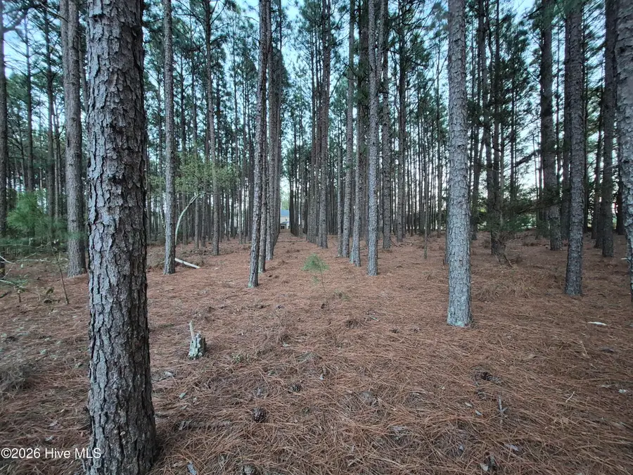 3 Milla Court, Jackson Springs, NC 27281 - #3