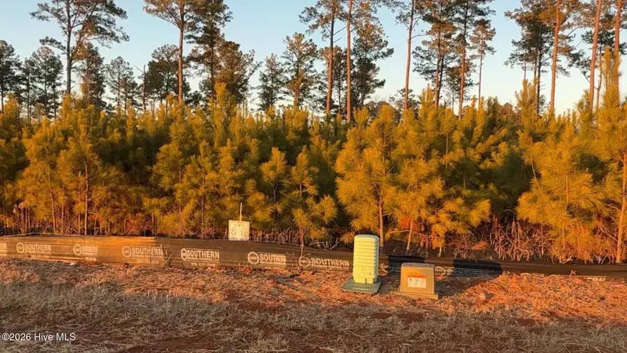 Lot 29 River Meadow Court, Spring Hope, NC 27882 - #2