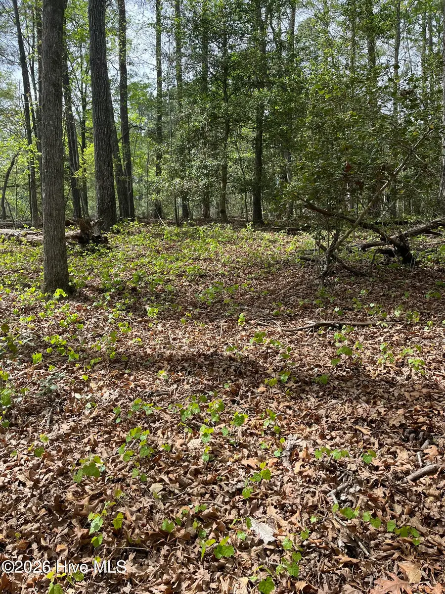 Lot 21 Equestrian Lane, Carthage, NC 28327 - #3