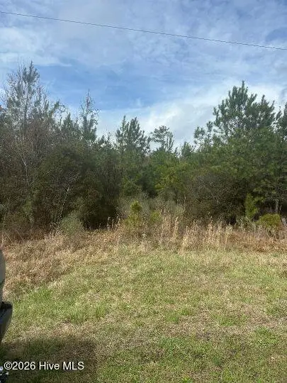 0 Voa Site B Road, Grimesland, NC 27837 - #1