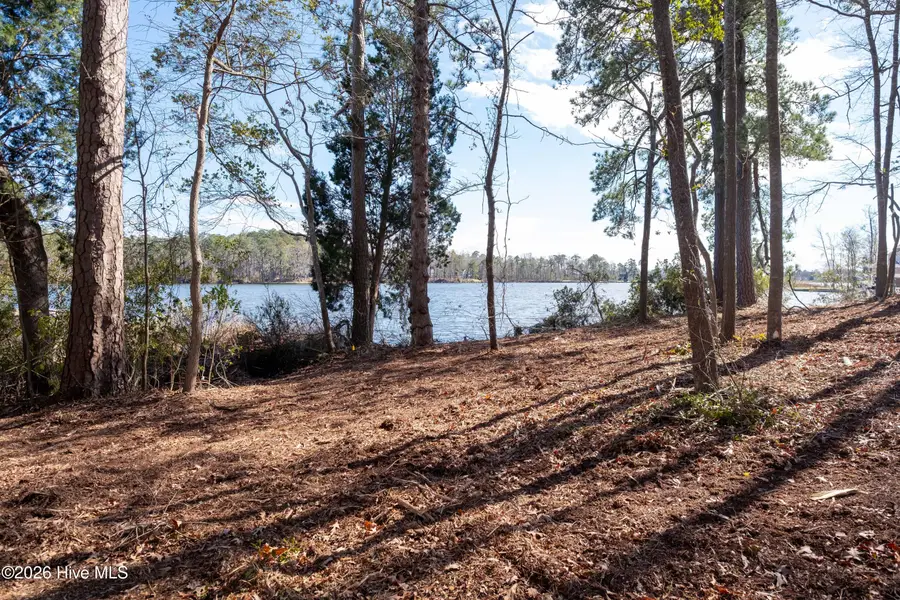 668 Sawmill Road, Bath, NC 27808 - #2