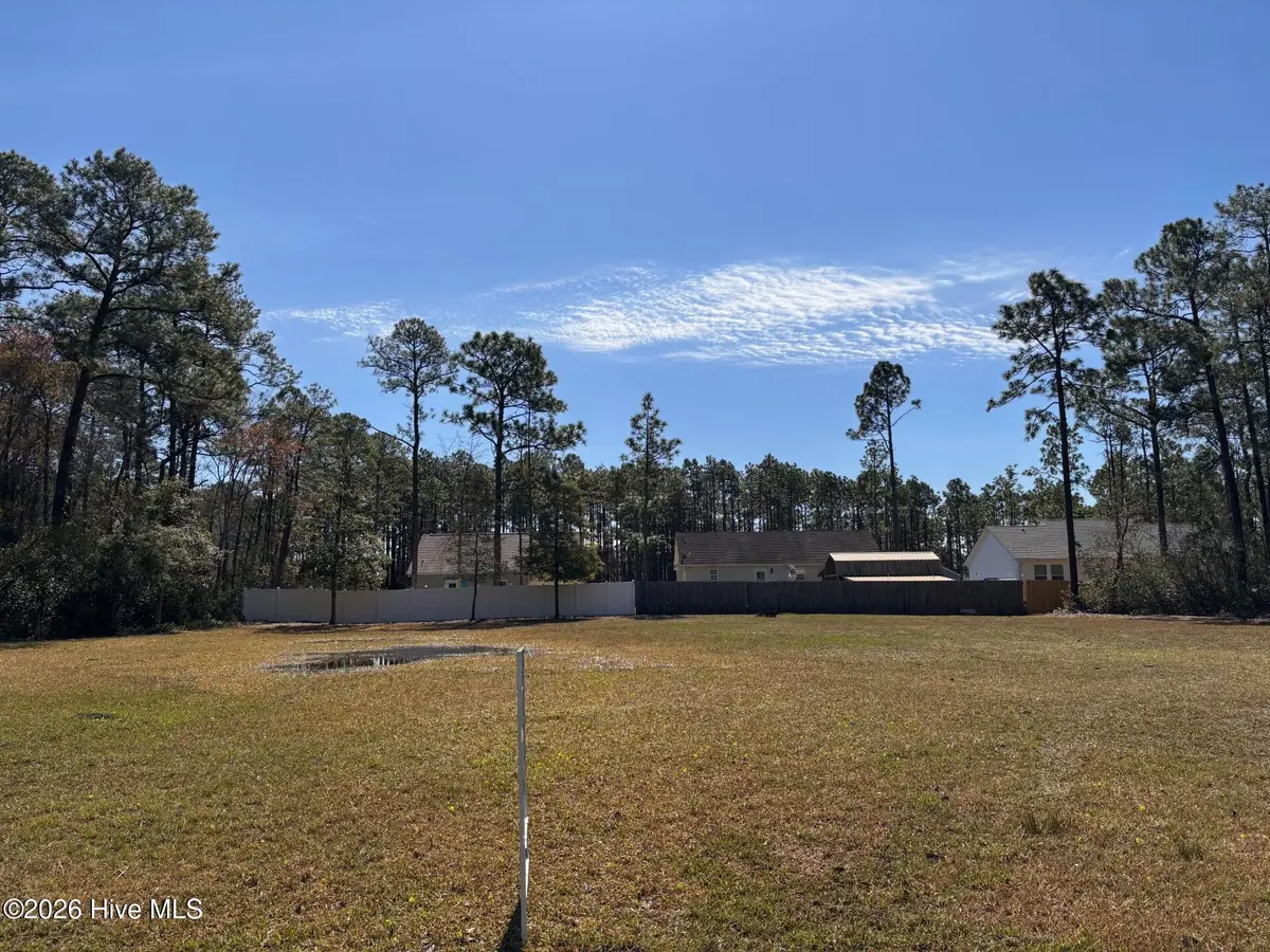 1230 Juniper Road, Southport, NC 28461 - #1