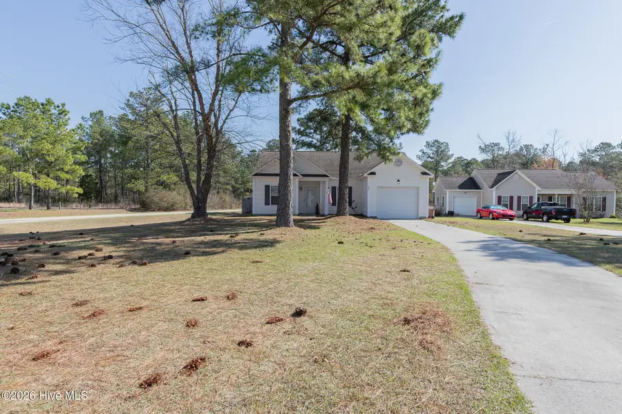 101 Boysenberry Fields Road, Maple Hill, NC 28454 - #2