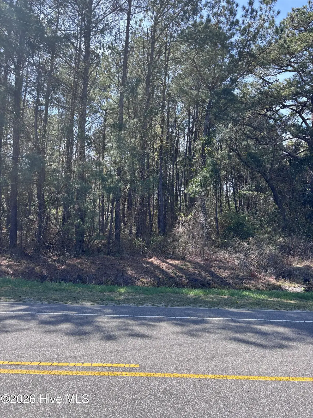 Lot 2 Us 117 Highway, Rocky Point, NC 28457 - #1