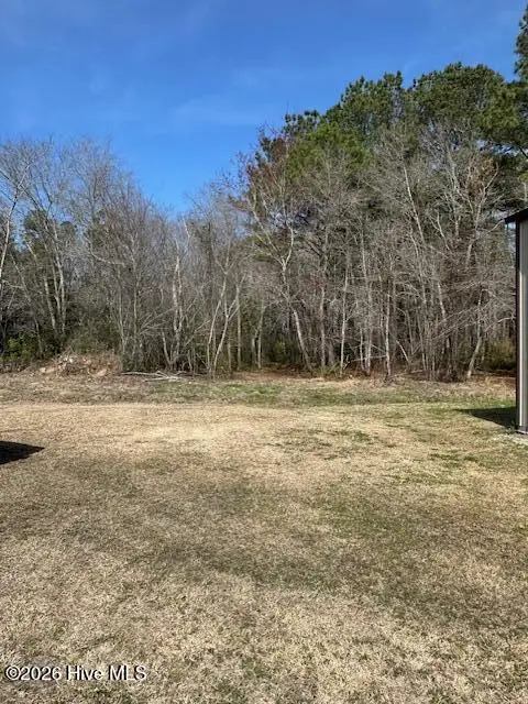 1602 Paul Barnes Road, Chadbourn, NC 28431 - #3