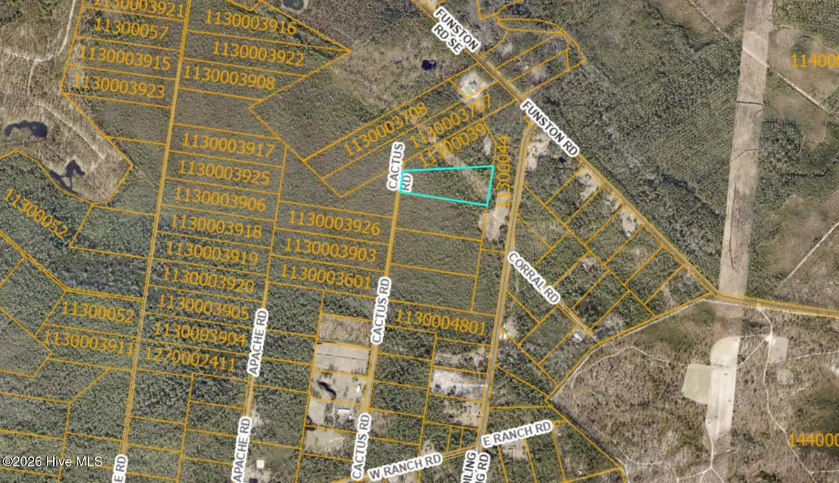 Tr-48 Cactus Road, Boiling Spring Lakes, NC 28461 - #1