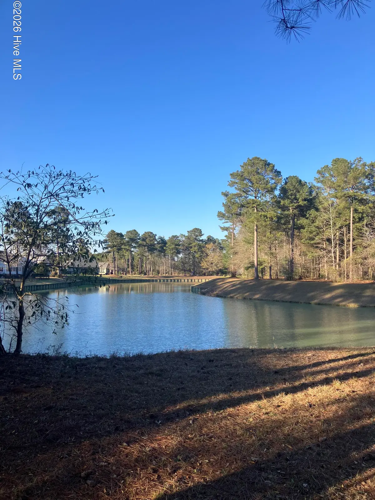 146 Muscadine Trail, Wallace, NC 28466 - #1