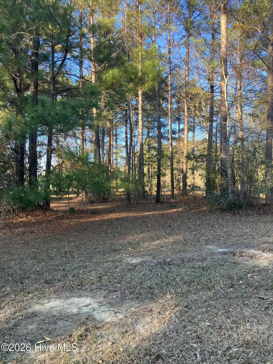 146 Muscadine Trail, Wallace, NC 28466 - #2