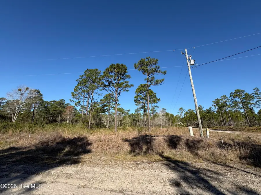 660 Virginia Drive, Boiling Spring Lakes, NC 28461 - #2