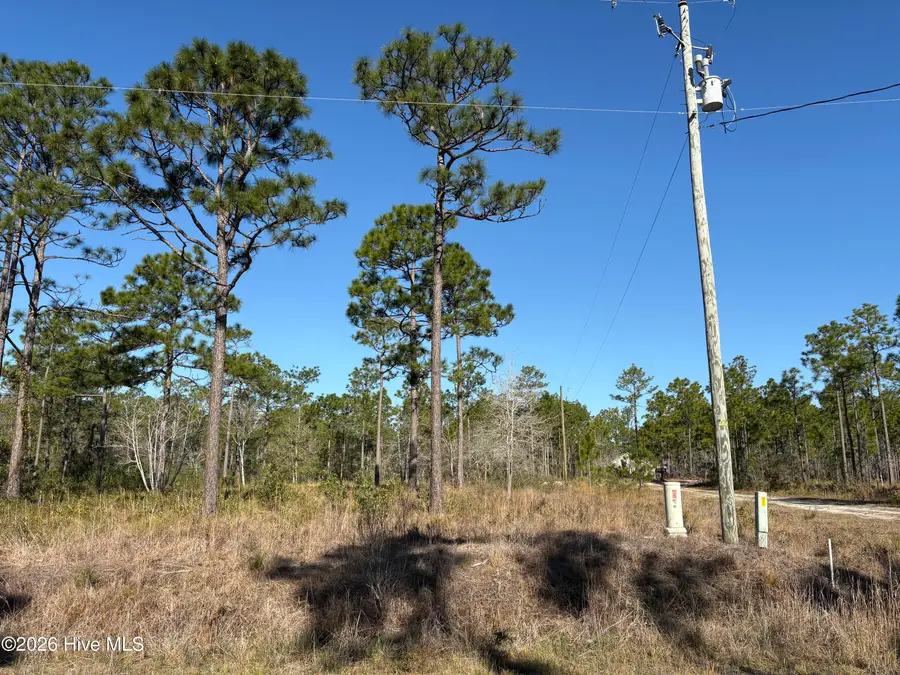 660 Virginia Drive, Boiling Spring Lakes, NC 28461 - #3