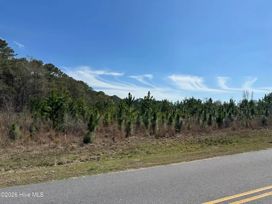 Tbd Old Wire Road, Laurel Hill, NC 28351 - #2