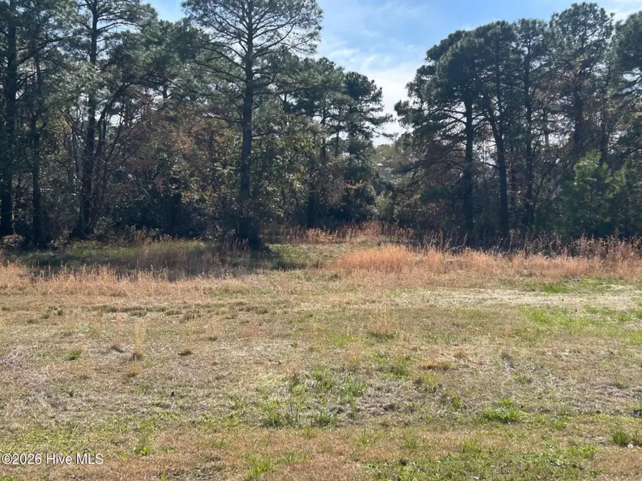 1609 Caracara Drive, New Bern, NC 28560 - #2