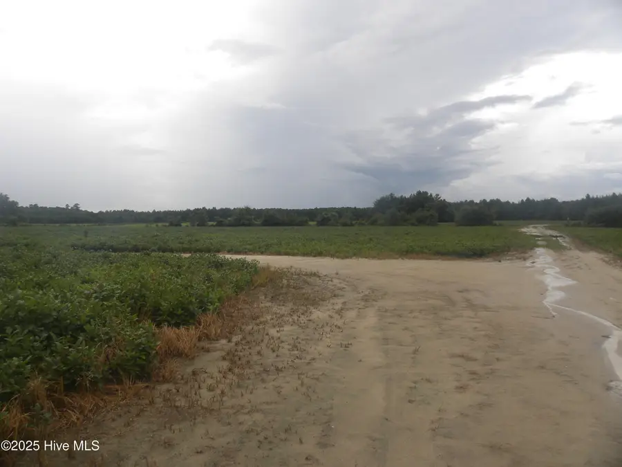 Tbd Conetoe Road, Greenville, NC 27834 - #3