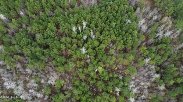 19115 Andrew Jackson Highway E, Bolton, NC 28423