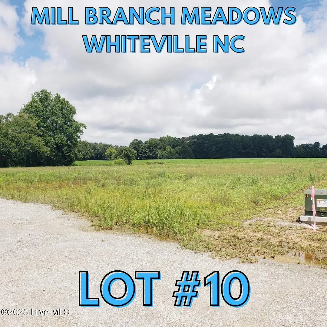 104 Mill Branch Drive, Whiteville, NC 28472 - #1