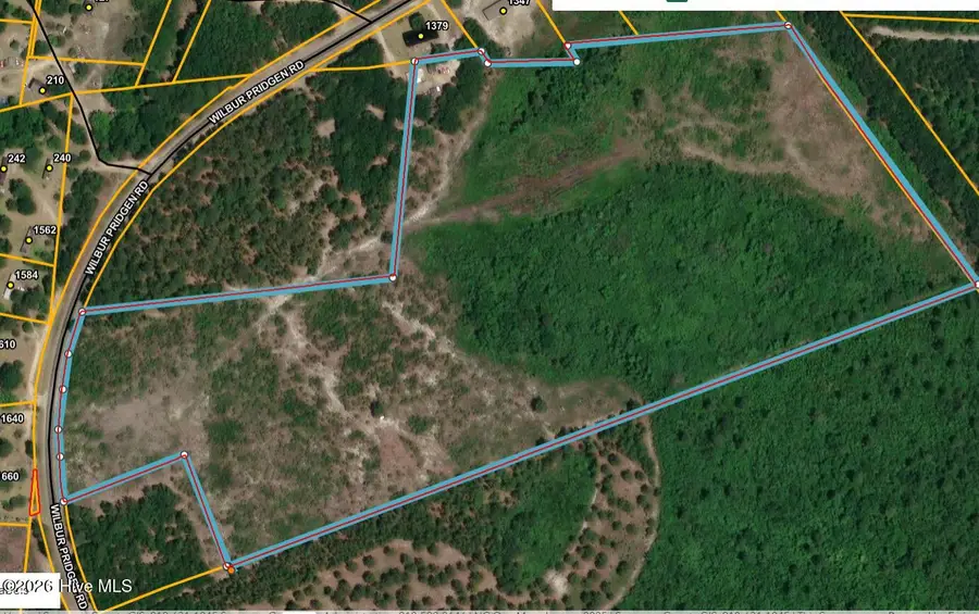 0 Wilbur Pridgen Road, Harrells, NC 28444 - #2