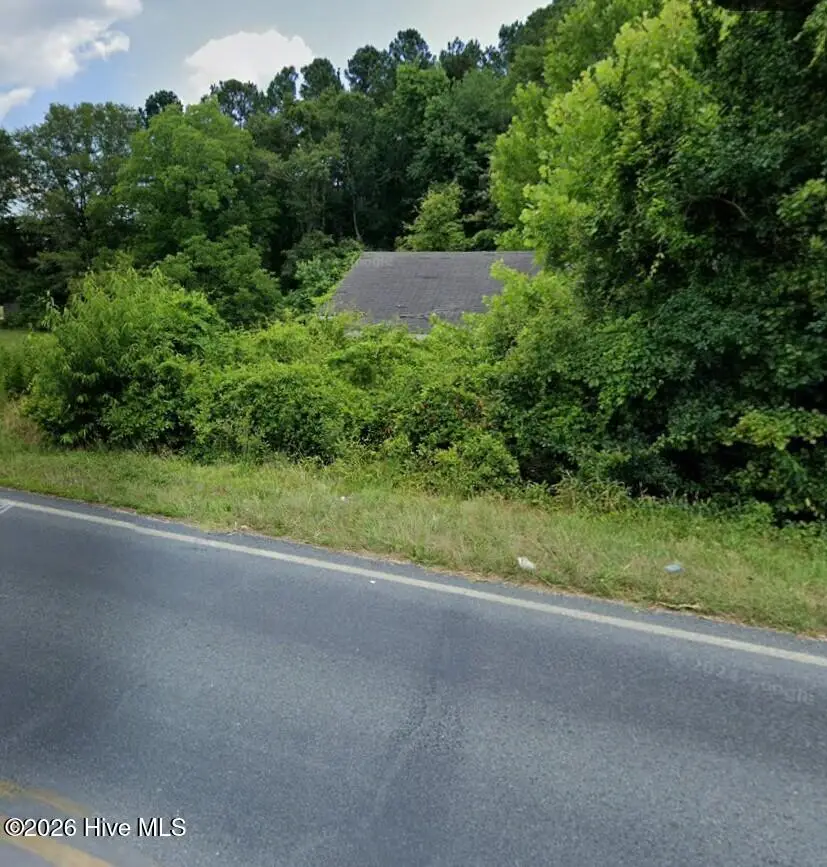 17801 Saint Johns Church Road, Laurel Hill, NC 28351 - #3