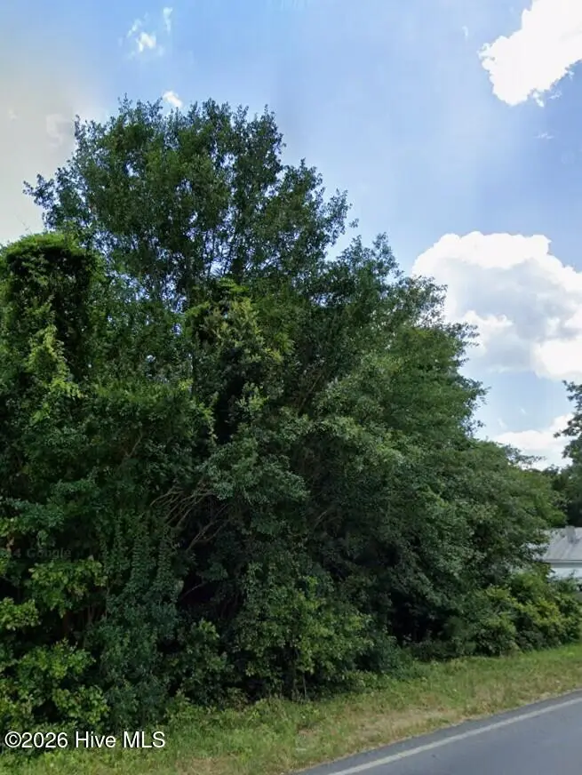 Lot 6 St Johns Church Road, Laurel Hill, NC 28351 - #3