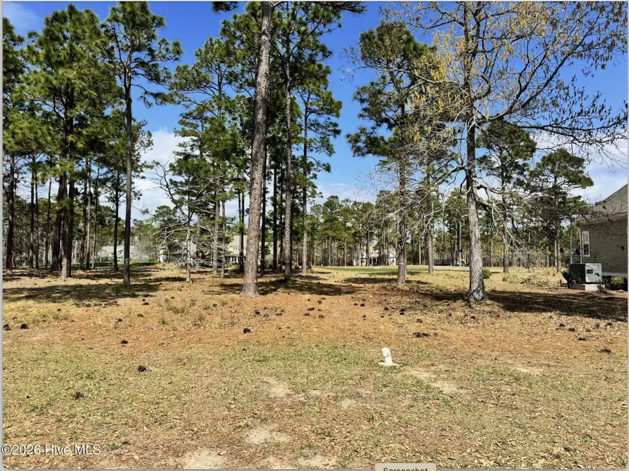 425 Laurel Valley Drive, Shallotte, NC 28470 - #2