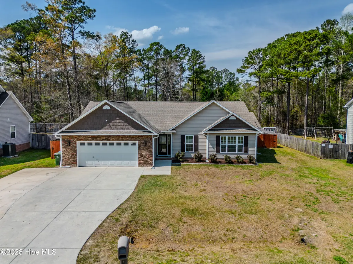 709 Cattail Court, Jacksonville, NC 28540 - #1