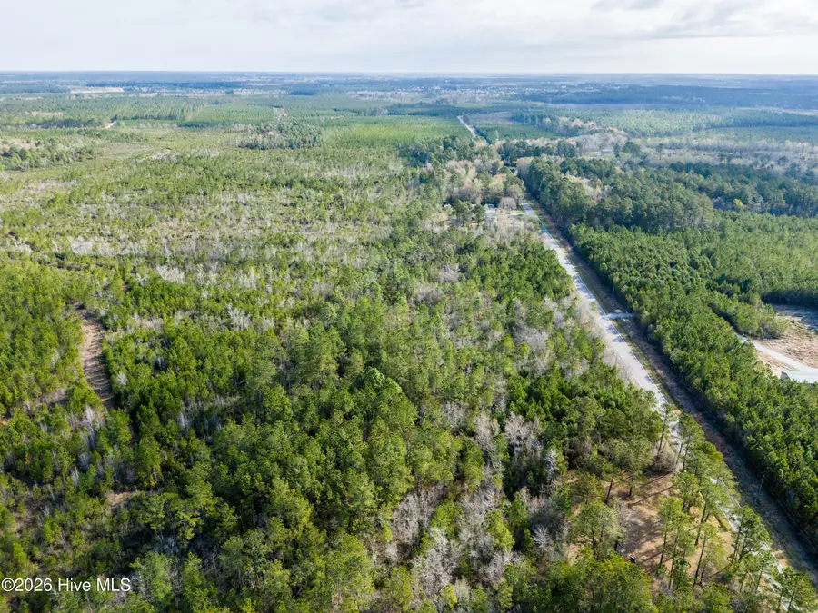 258 Hardy Graham Road, Maple Hill, NC 28454 - #2