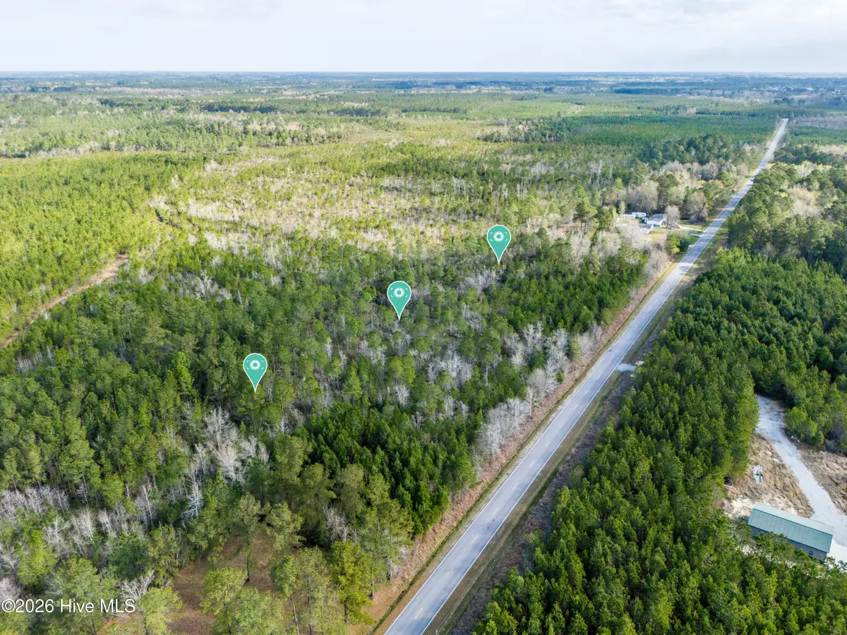 272 Hardy Graham Road, Maple Hill, NC 28454 - #1