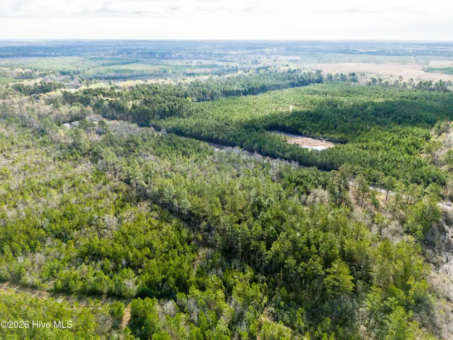 282 Hardy Graham Road, Maple Hill, NC 28454 - #3