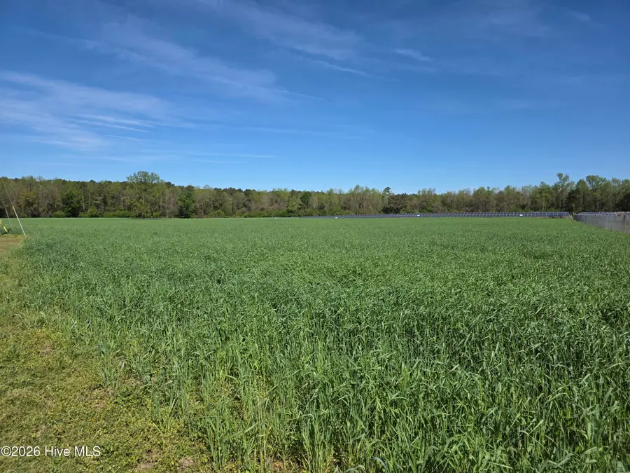 00 N N Nc 111 And 903 Hwy, Albertson, NC 28508 - #2