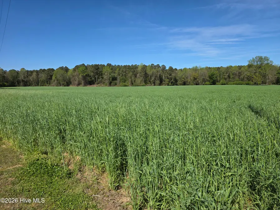 00 N N Nc 111 And 903 Hwy, Albertson, NC 28508 - #3