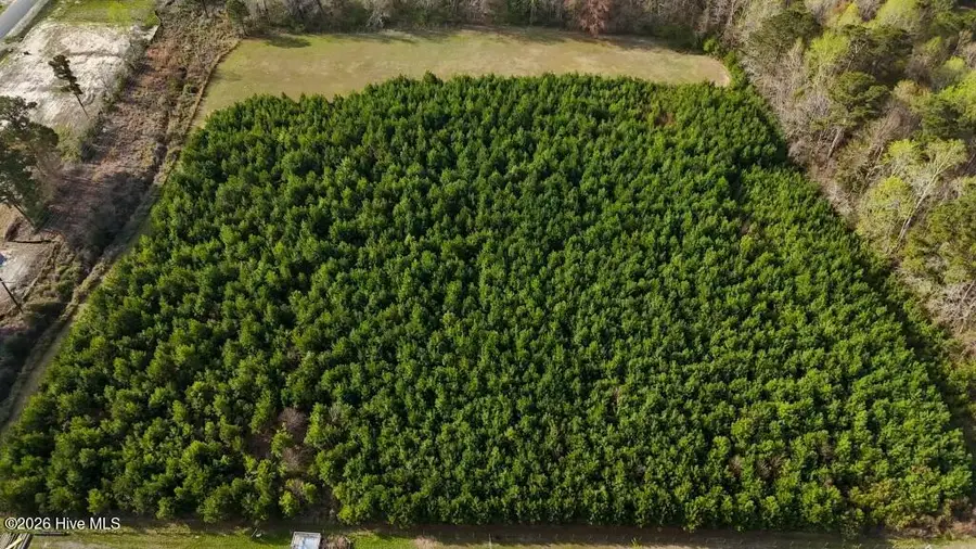 Tr1 Smallwood Road, Hubert, NC 28539 - #2