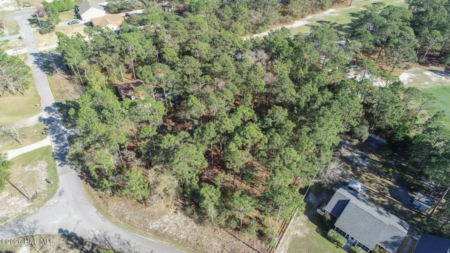 1154 Twin Lakes Drive, Boiling Spring Lakes, NC 28461 - #2