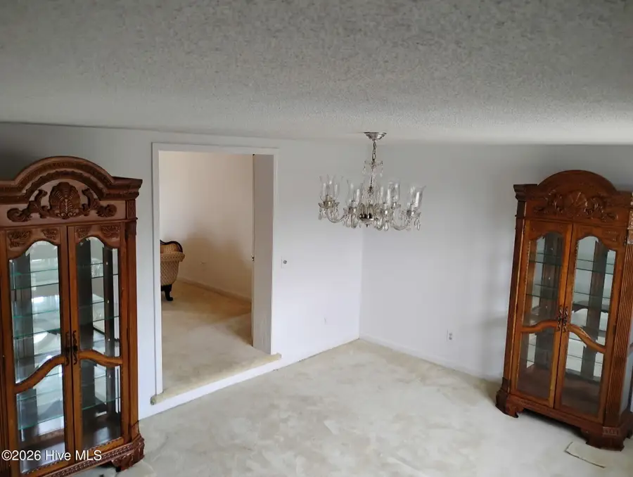 101 Williams Drive, Black Creek, NC 27813 - #3