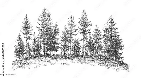 0 Longview Drive E, Wilson, NC 27893