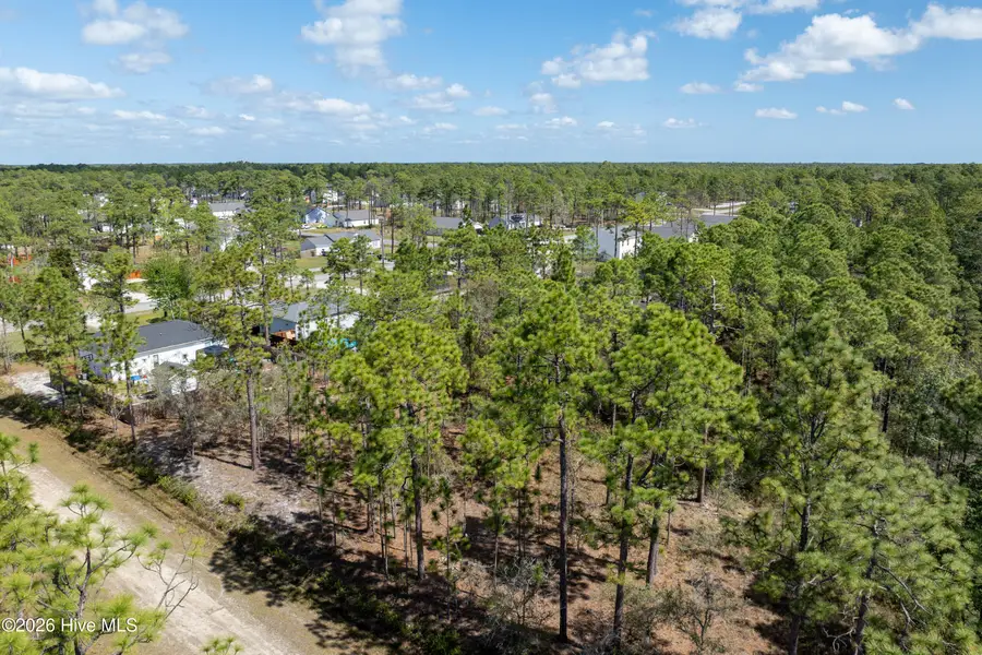 L 13 Rockingham Road, Boiling Spring Lakes, NC 28461 - #2