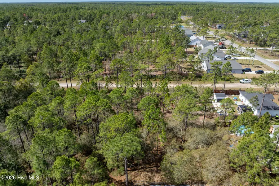 L 13 Rockingham Road, Boiling Spring Lakes, NC 28461 - #3