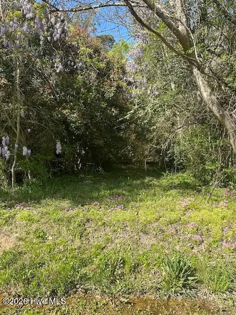 408 Mill Quarters Road, Hallsboro, NC 28442 - #3