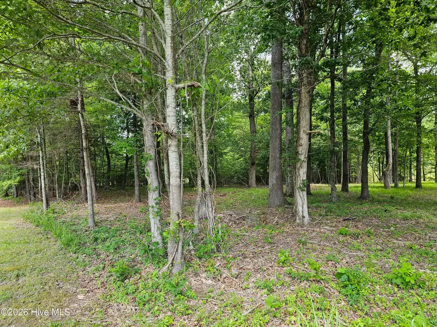 Lot 58 See View Lane, Hertford, NC 27944 - #3