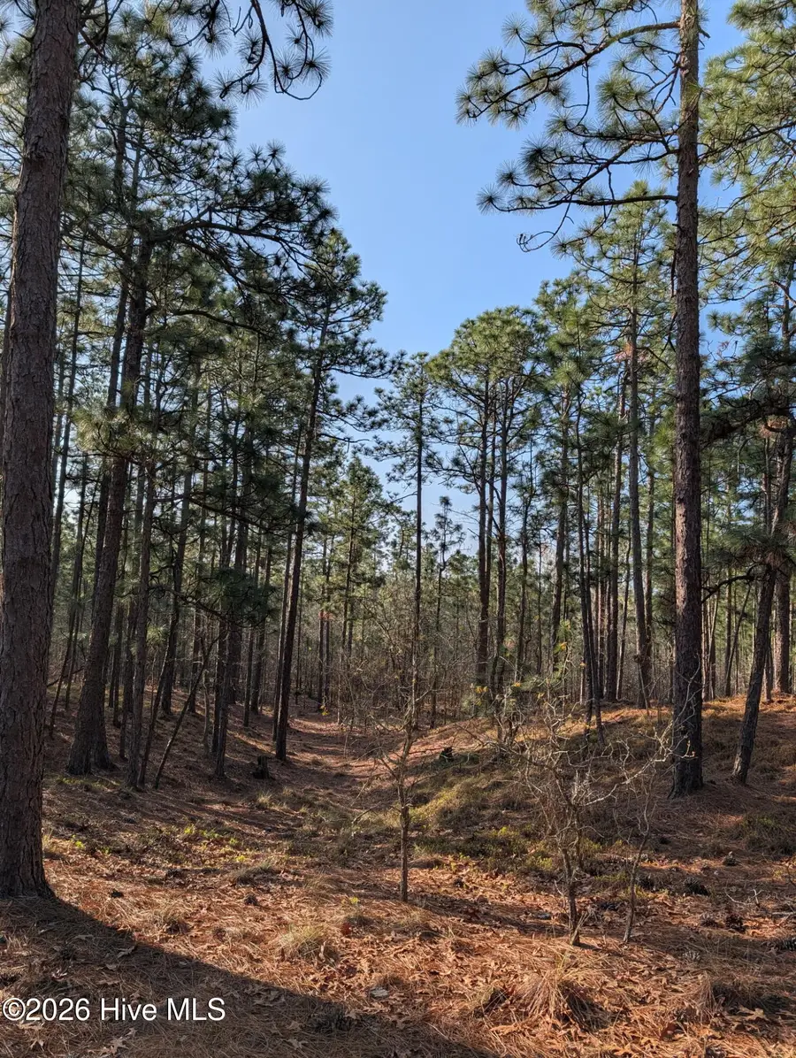 350 Longleaf Drive, West End, NC 27376 - #3