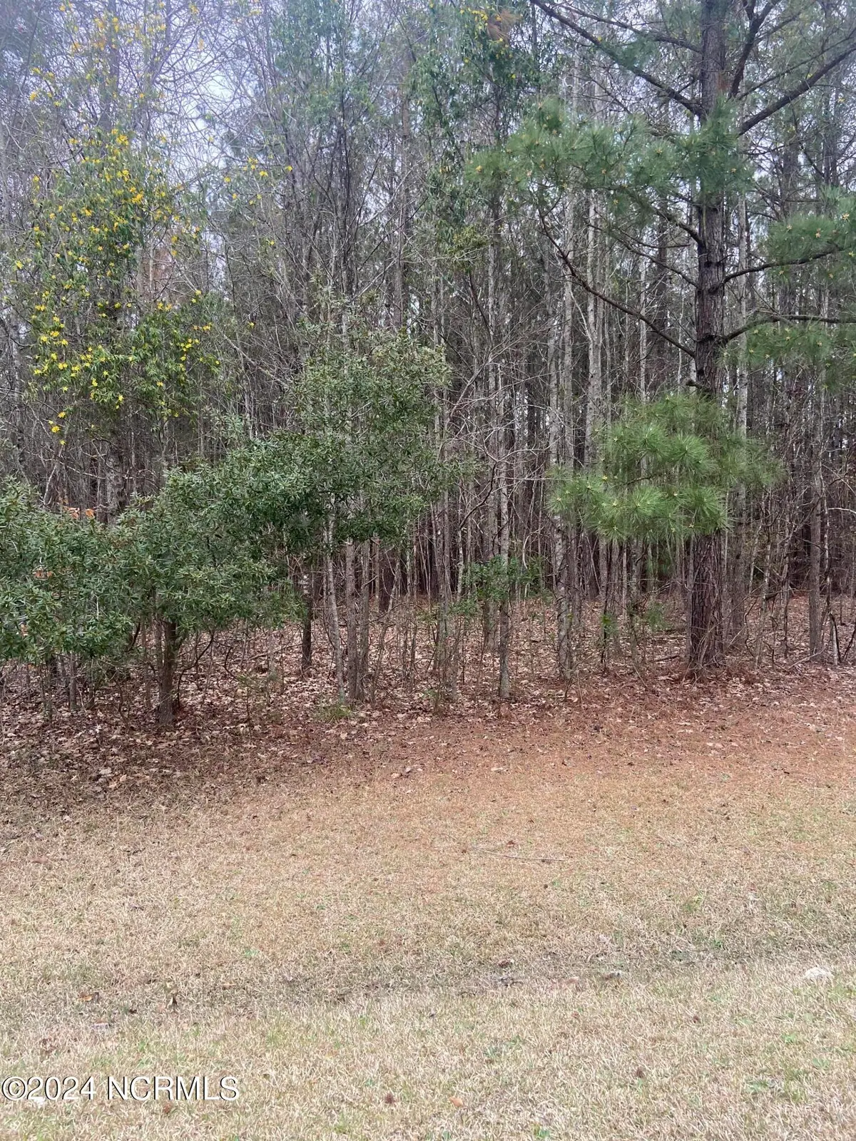 Lot 88 Johnson Drive, Hertford, NC 27944 - #1