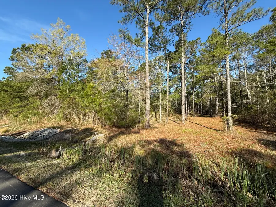 125 Shell Castle Lane, Vandemere, NC 28587 - #2