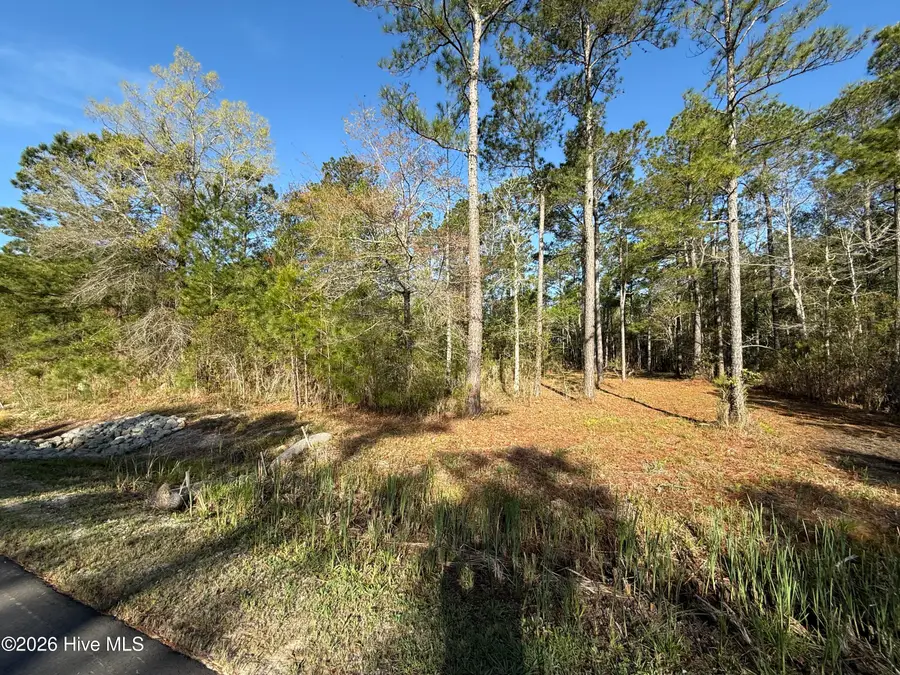 125 Shell Castle Lane, Vandemere, NC 28587 - #3