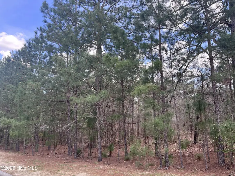 29 Ridgeland Street, Pinehurst, NC 28374 - #2