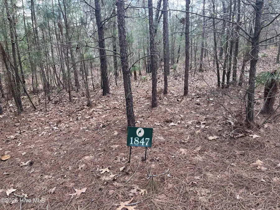 29 Ridgeland Street, Pinehurst, NC 28374 - #3